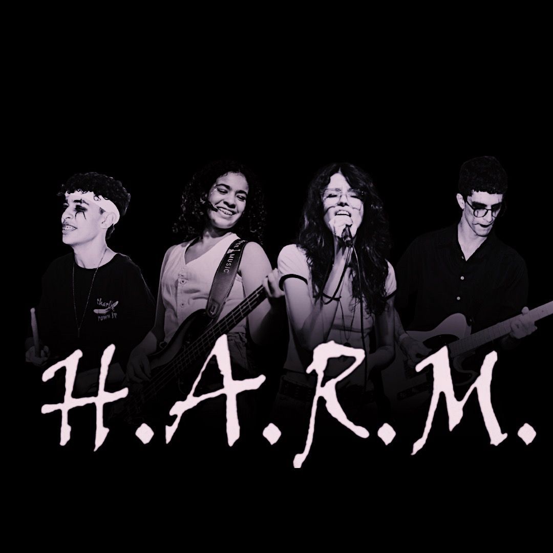 Integrantes da H.A.R.M no palco